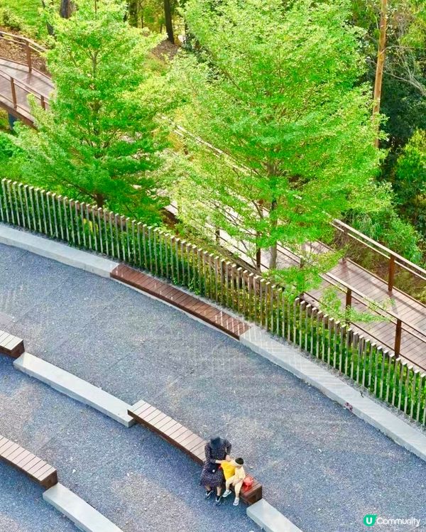 🆕🆓深圳龍崗新公園🌳有一萬塊鏡🪩