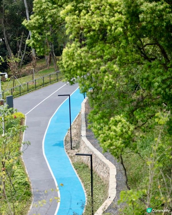 🆕🆓深圳龍崗新公園🌳有一萬塊鏡🪩