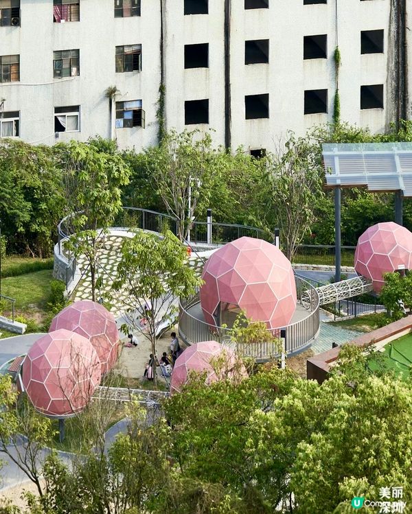 🆕🆓深圳龍崗新公園🌳有一萬塊鏡🪩