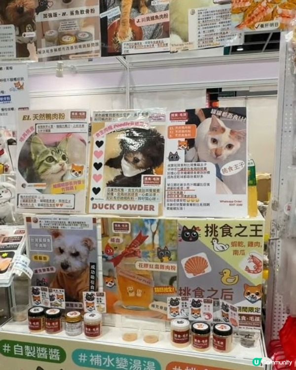 推介《香港寵物節2026》🐱🐶