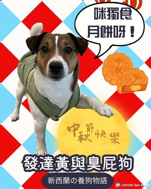 臭屁狗Spank🐶祝大家中秋🌕平安！月餅🥮多多益善！