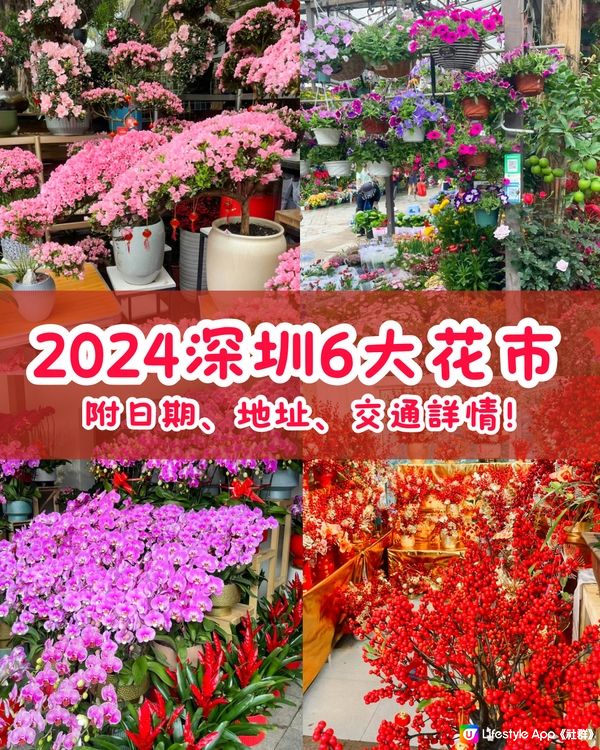 🐲2024年深圳6大花市🌸附日期、地址、交通詳情‼️