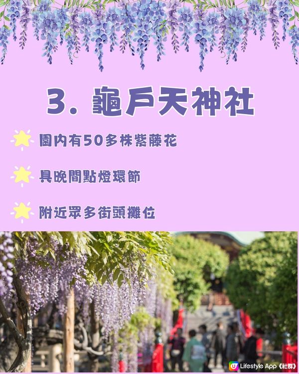 日本全國紫藤花觀賞地9選💜樹齡850年😳國家指定天然紀念物💯