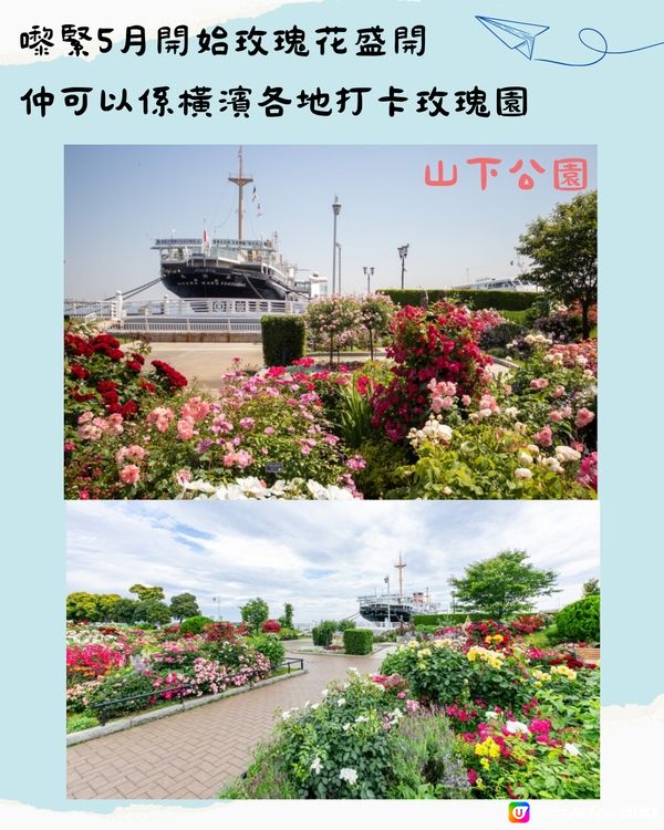 東京近郊必去🇯🇵橫濱1日遊行程 中華街初體驗⁉️5月玫瑰周開催