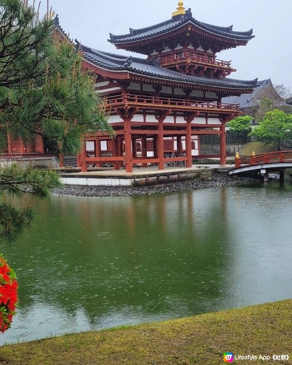 雨中漫遊平等院