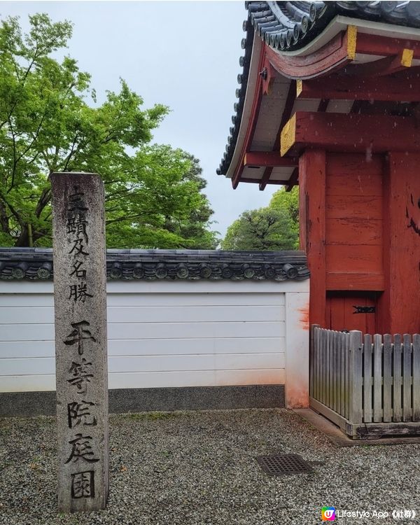 雨中漫遊平等院