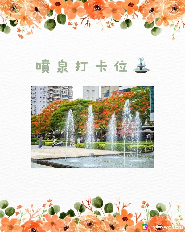 🌳深圳隱世森林仙景 最紅鳳凰花海回歸！⛲️