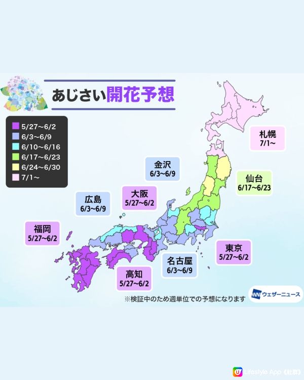 日本全國繡球花開花時間表🇯🇵💙超詳細版😍附3個冷知識🙌🏼