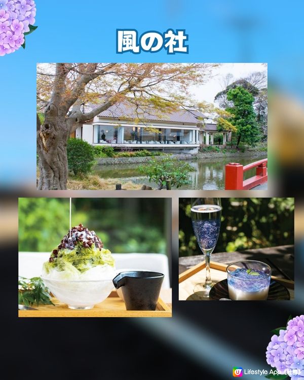 初夏限定🎐鎌倉繡球花甜品5選💙💜會變色的刨冰😳⁉️