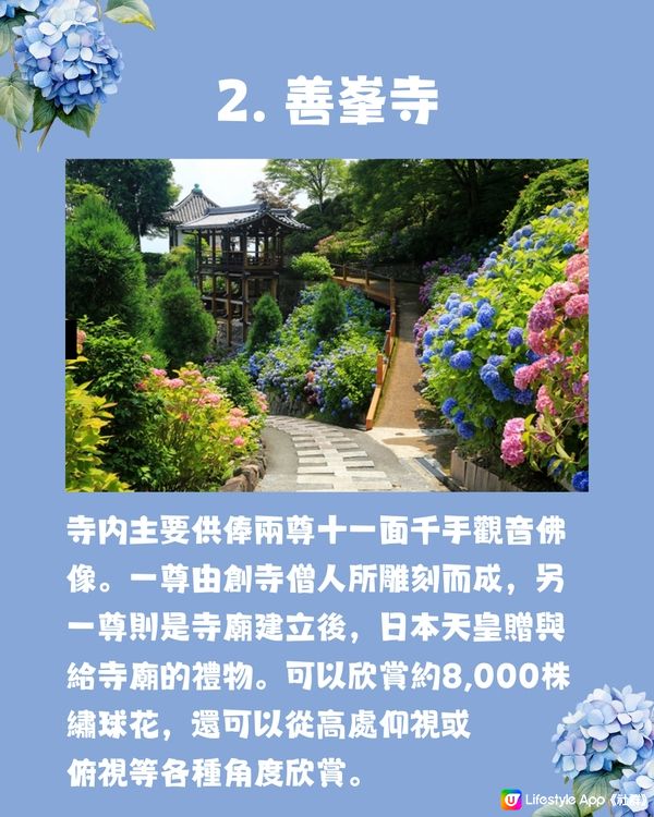 京都7大繡球花觀賞地😍10萬棵繡球花超震撼 西日本最大規模💙