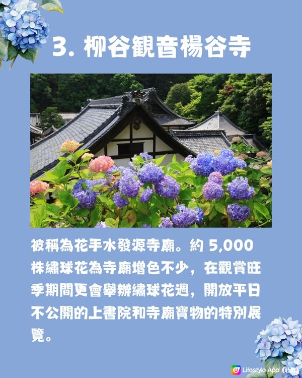 京都7大繡球花觀賞地😍10萬棵繡球花超震撼 西日本最大規模💙