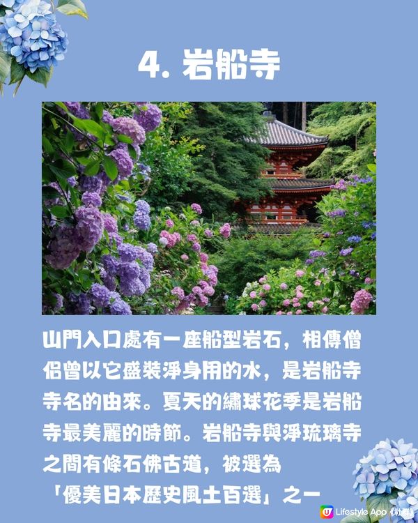 京都7大繡球花觀賞地😍10萬棵繡球花超震撼 西日本最大規模💙