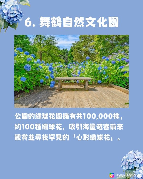 京都7大繡球花觀賞地😍10萬棵繡球花超震撼 西日本最大規模💙