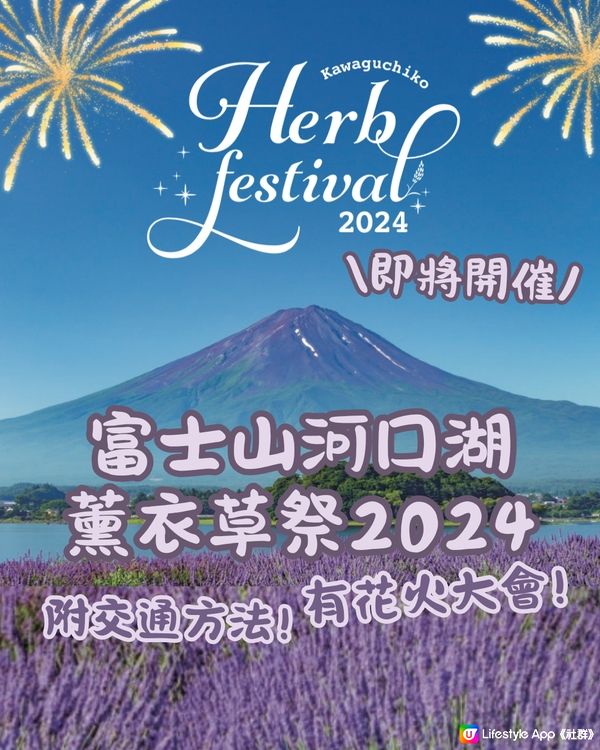 富士山河口湖薰衣草祭2024即將開催🪻附交通方法🇯🇵