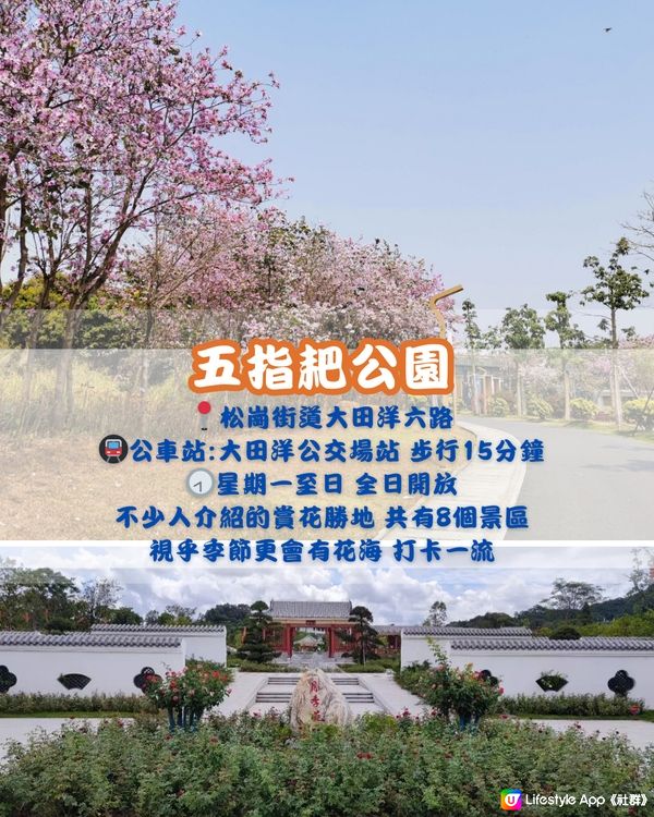 深圳寶安區10個必去公園-下集💐