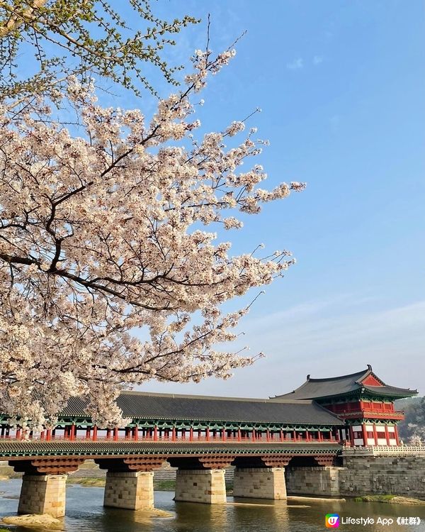 慶州日夜美景-月精橋 日景