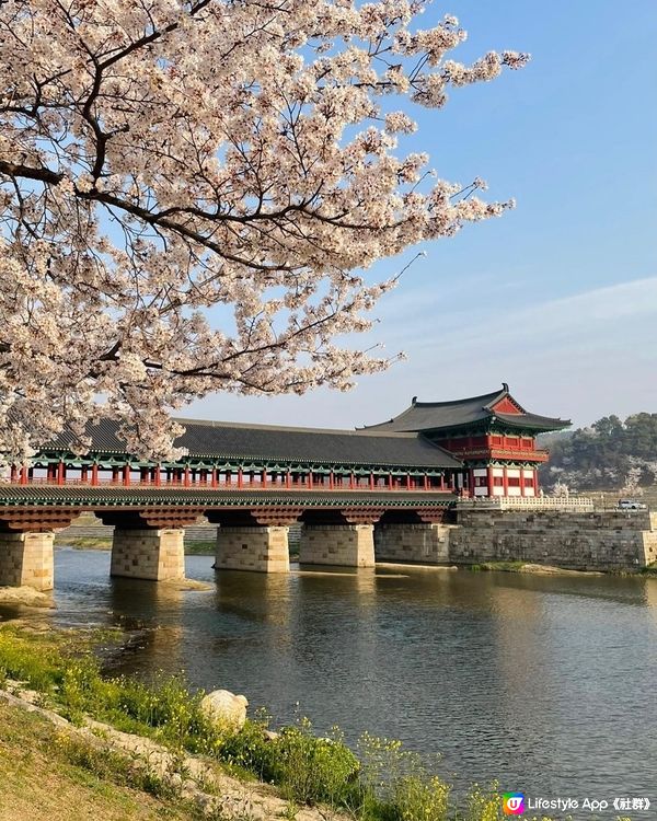 慶州日夜美景-月精橋 日景