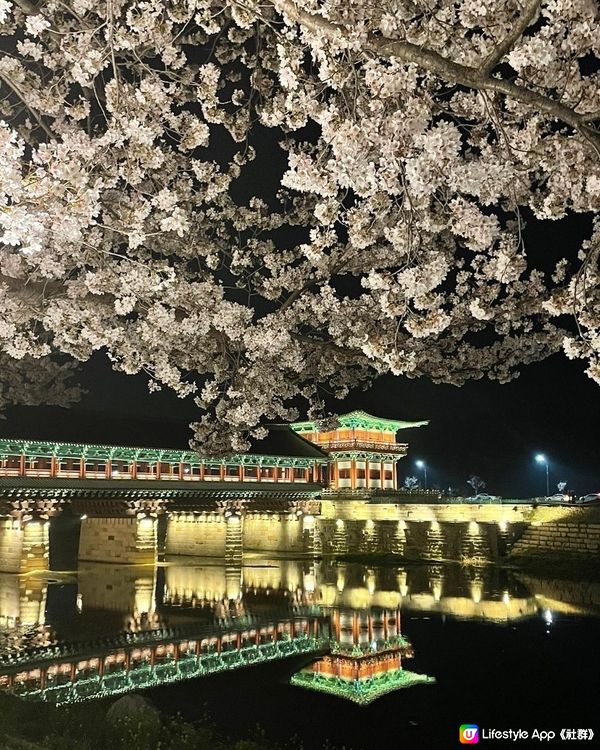 慶州絕美夜景推介：月精橋