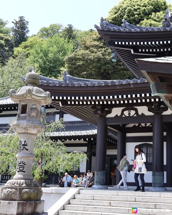鎌倉🎋長谷寺🎋