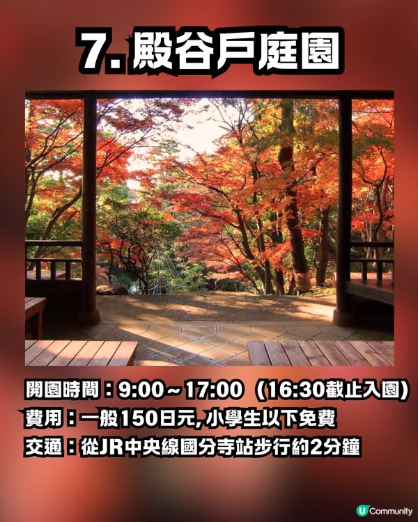 日本紅葉2024｜紅葉預測第2回出爐！🍁😍附東京7大觀賞名所推介🇯🇵