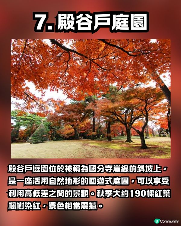 日本紅葉2024｜紅葉預測第2回出爐！🍁😍附東京7大觀賞名所推介🇯🇵