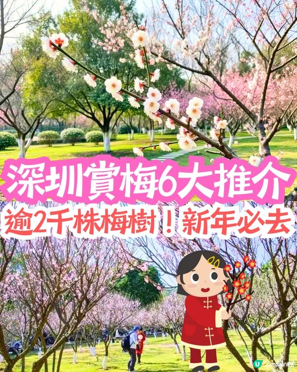 深圳玩樂好去處