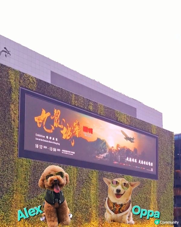 毛孩愛心kol大使