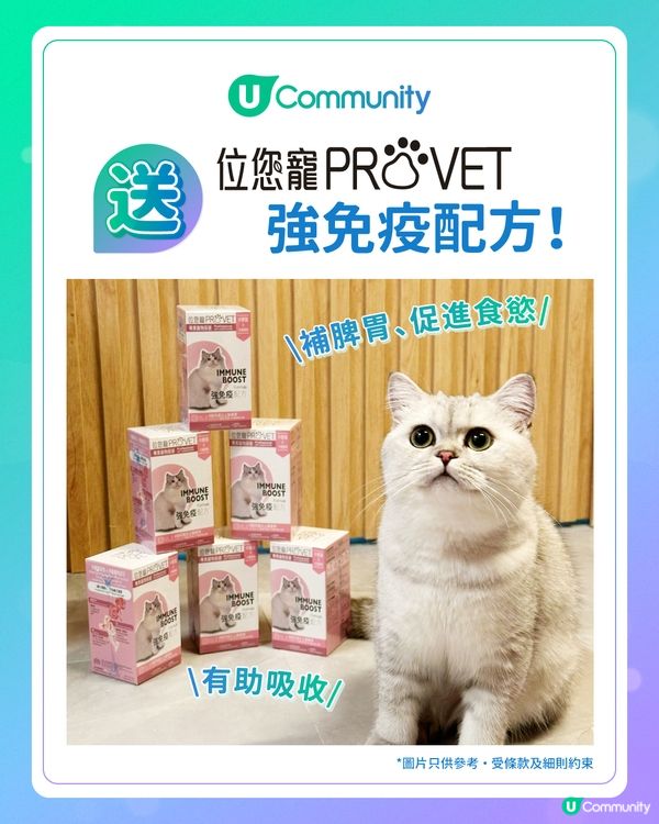增強貓貓免疫力