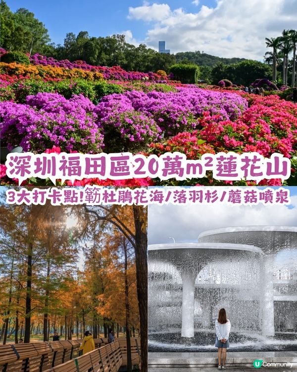 深圳好去處