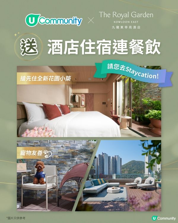 去新酒店staycation