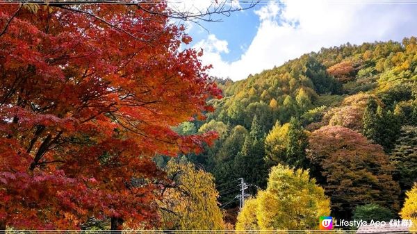 立冬~奈良井的冬意漸湛濃的紅葉