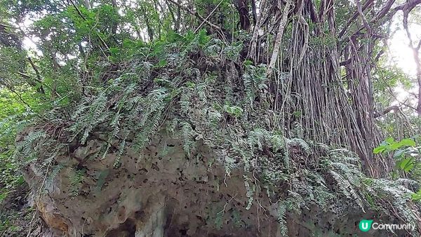 齋場御獄~  靈修及心靈治癒之聖地
