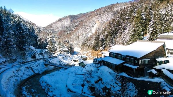 地獄谷野猿公苑~猴子泡溫泉??