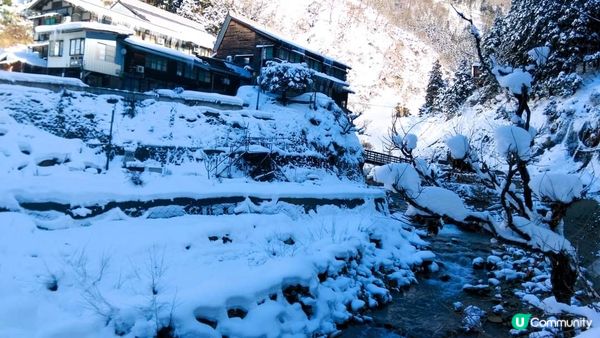 地獄谷野猿公苑~猴子泡溫泉??