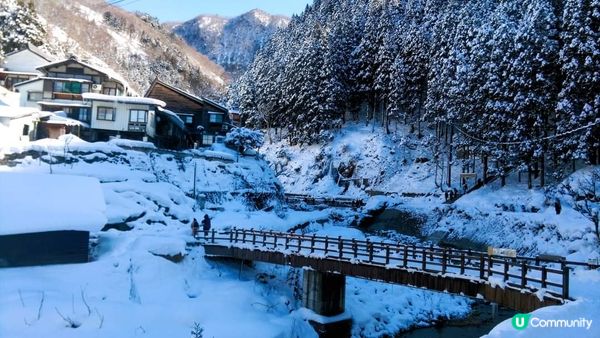 地獄谷野猿公苑~猴子泡溫泉??