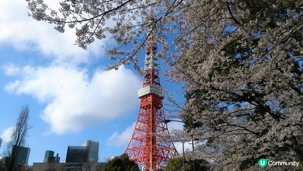 千鳥淵、飯田橋外濠公園、目黑川、還有……東京賞櫻景點9選