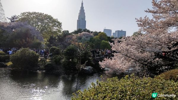 千鳥淵、飯田橋外濠公園、目黑川、還有……東京賞櫻景點9選