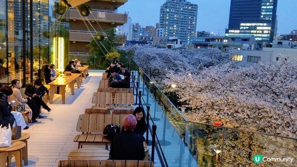 千鳥淵、飯田橋外濠公園、目黑川、還有……東京賞櫻景點9選