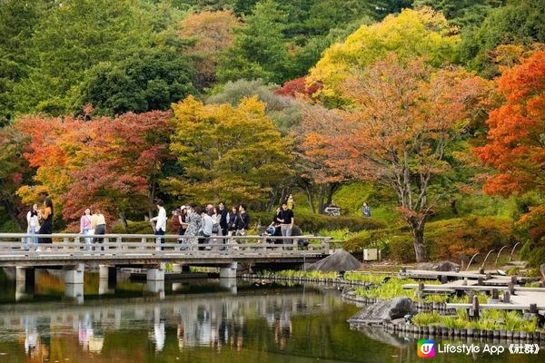 秋天公園内的日本花園