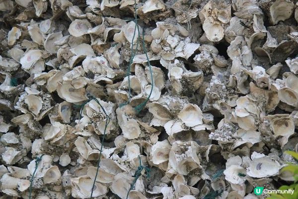 流浮山海產美食之旅：晨昏交錯的時刻