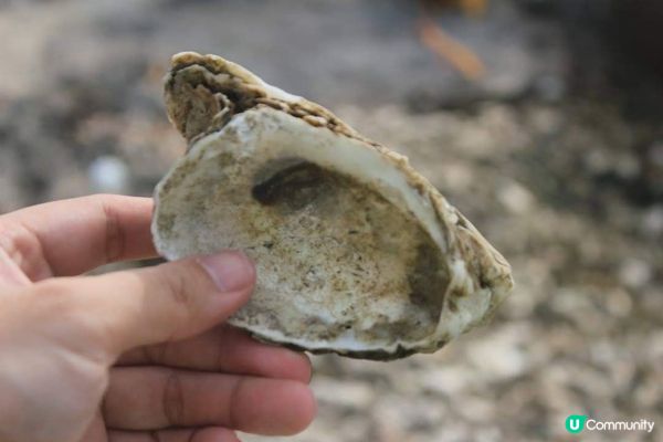 流浮山海產美食之旅：晨昏交錯的時刻