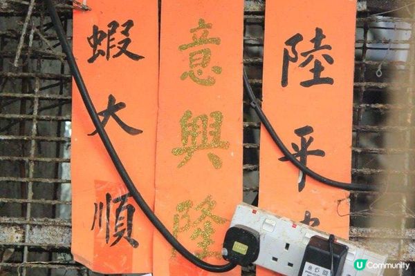 流浮山海產美食之旅：晨昏交錯的時刻