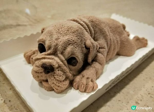 沙皮狗慕斯蛋糕🐶