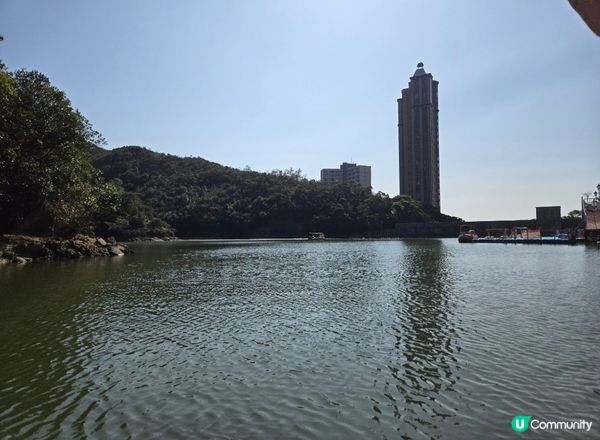 探索黃泥涌水塘花園，一個超正?親子好去處！?度可以踩懷舊鴨仔...