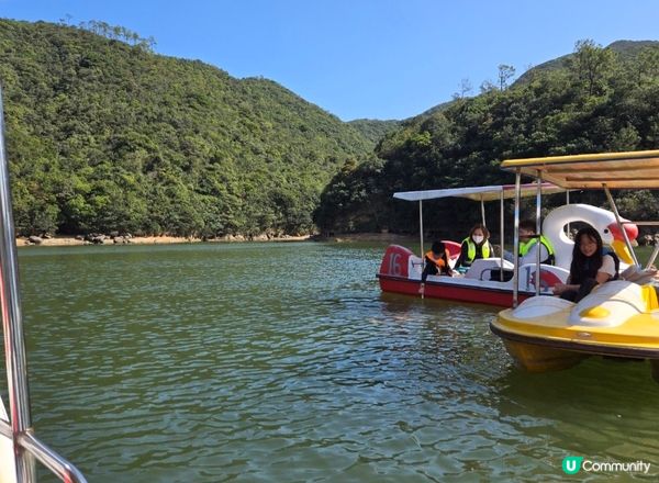 探索黃泥涌水塘花園，一個超正?親子好去處！?度可以踩懷舊鴨仔...