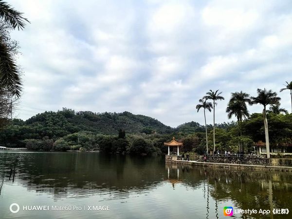 仙湖植物園