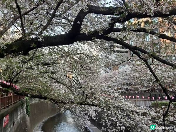 黑色眼睛👀沿途與你有過一幀風景