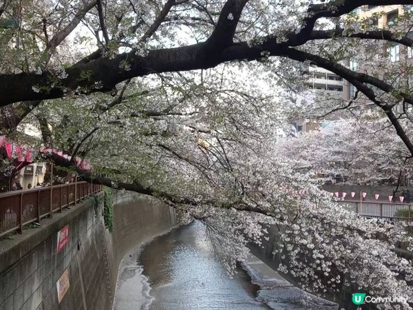 黑色眼睛👀沿途與你有過一幀風景