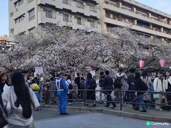 黑色眼睛👀沿途與你有過一幀風景