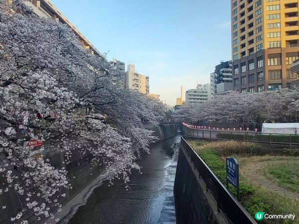 黑色眼睛👀沿途與你有過一幀風景